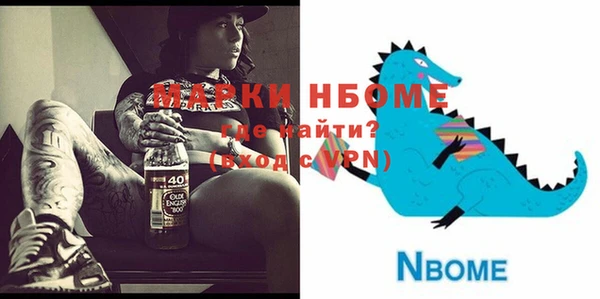 хмурый Бородино