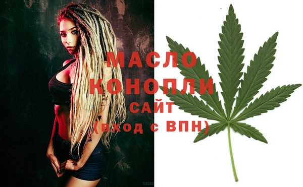 хмурый Бородино