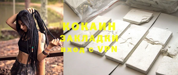 хмурый Бородино