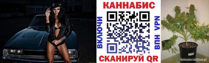 Бошки марихуана гибрид  Ачхой-Мартан 